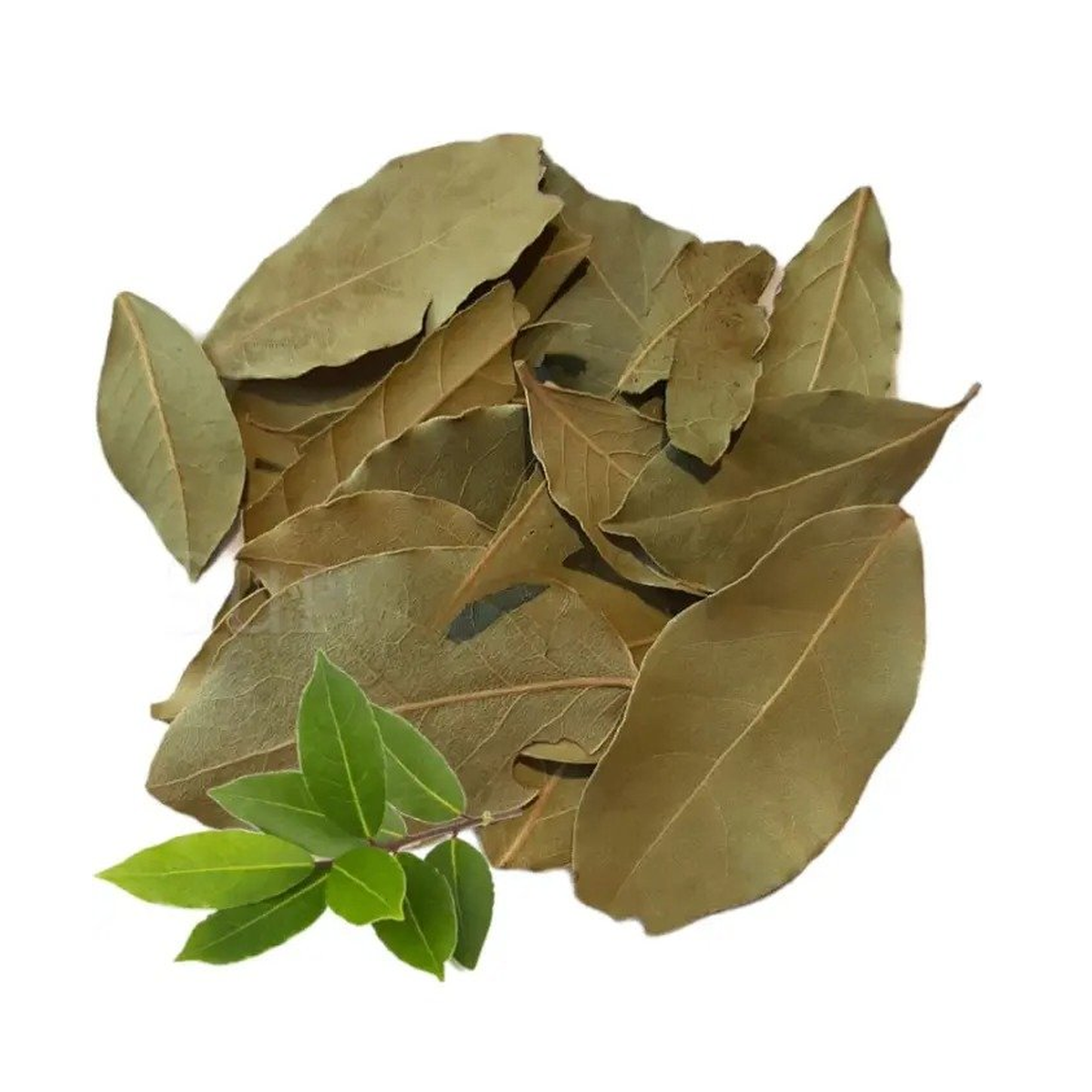 FEUILLES-DE-LAURIER-AU-MAROC-ورق-سيدنا-موسى-KG_EPICERIES_254_1.png