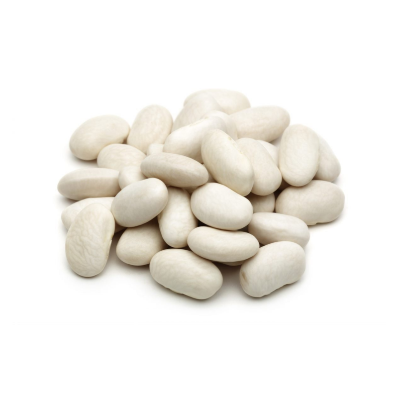 HARICOT BLANCHE ( kg )- الفاصوليا البيضاء