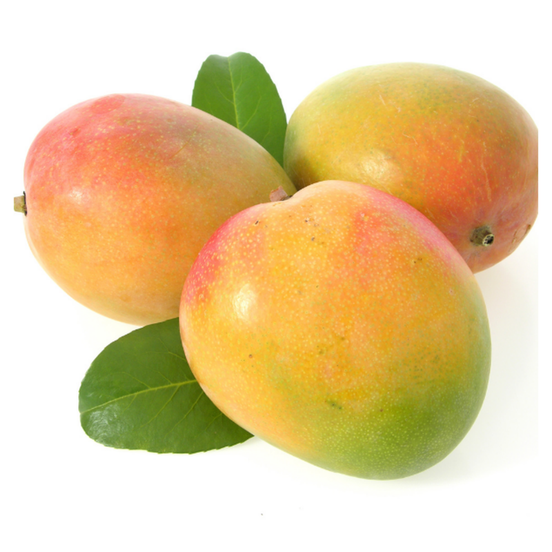 MANGUE MARTINIQUE (KG)-مانجو  مارتينيك