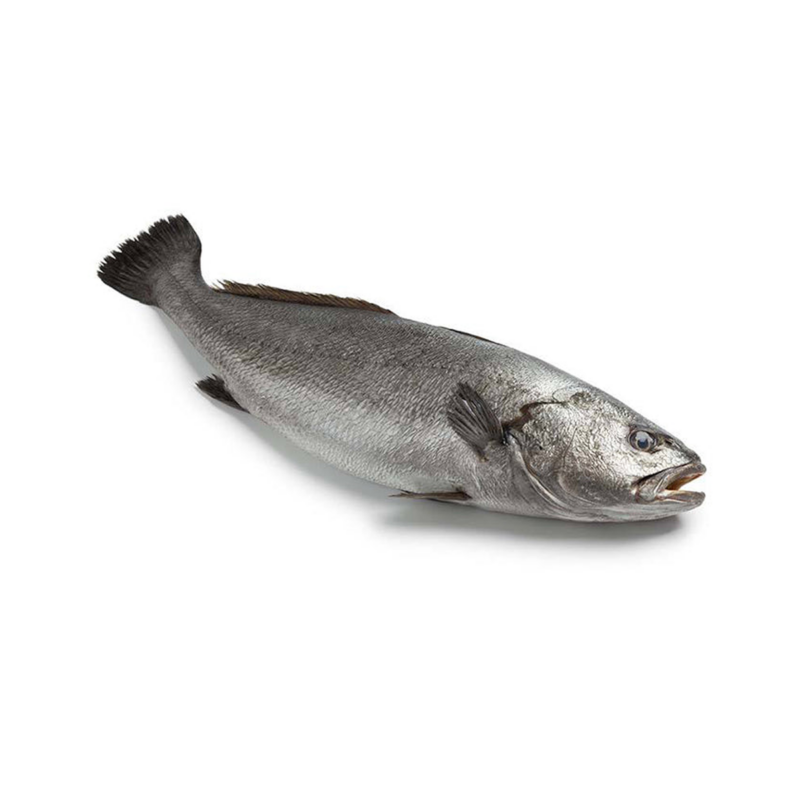 OMBRINE - أومبرين - (KG)