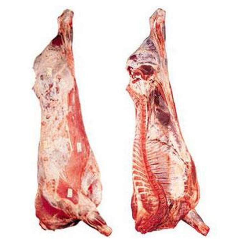 carcasse boeuf - جثة لحم البقر