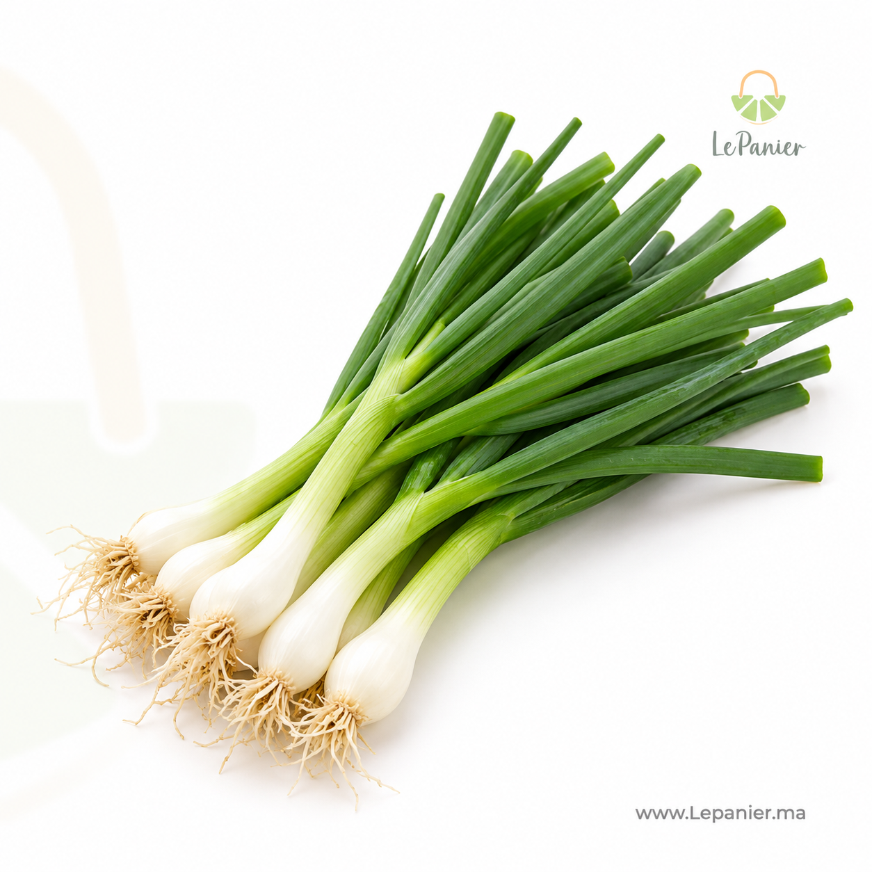 Oignon Vert – بصل أخضر – LePanier
