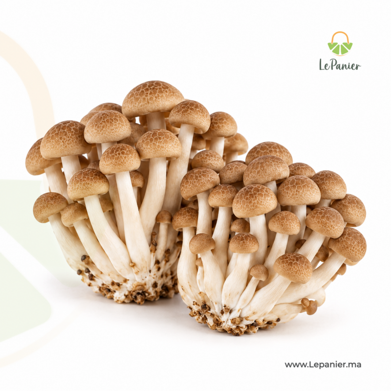 Champignon SHIMEJI – LePanier