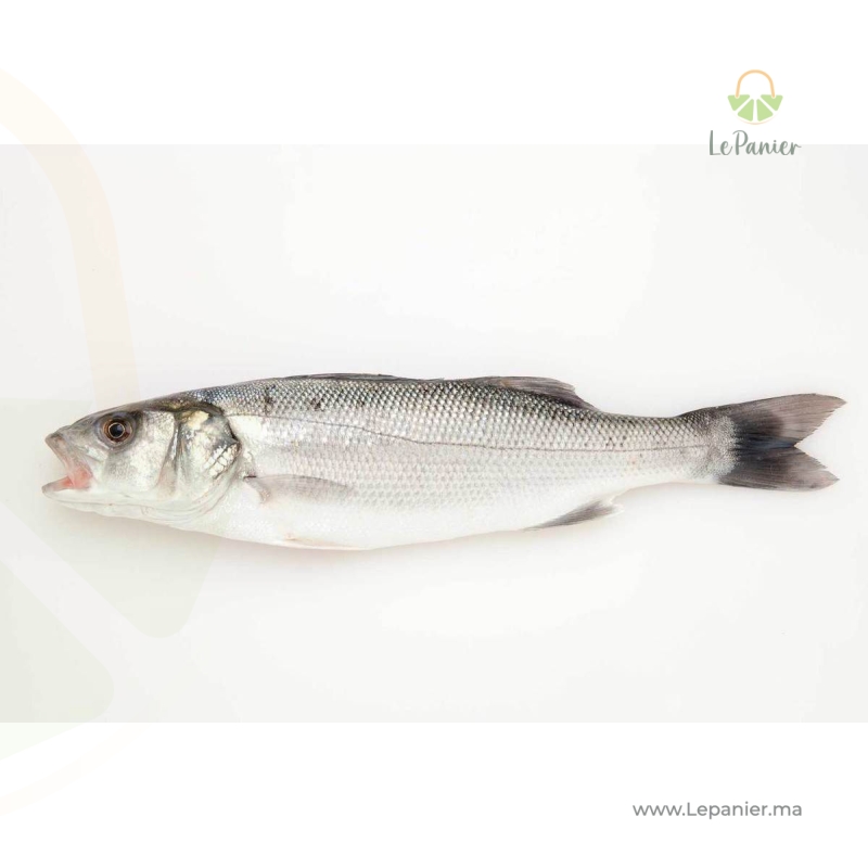 Lobar (KG) - لوبار