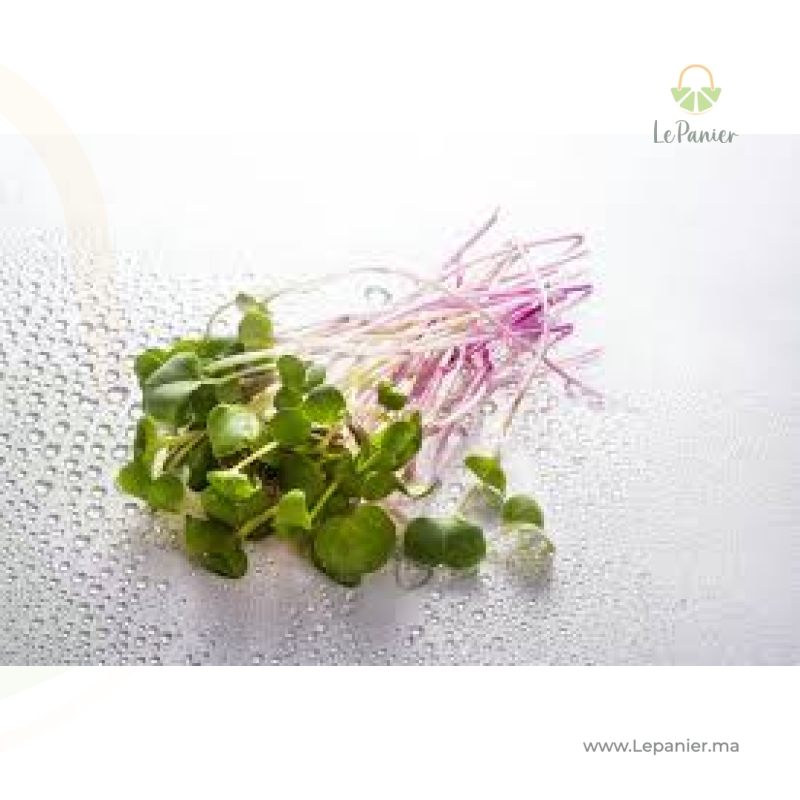 MICRO HERBES (U)-الأعشاب  الدقيقة
